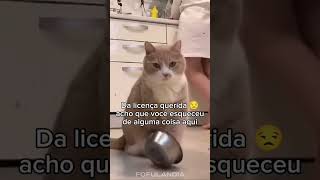 #animaisfofos #animais #fofo #animals #cuteanimals #animal #funny #animaisengraçados