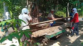 Pak Nanang Serkel Gergaji Mesin Potong Kayu