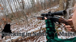 Tracking a Whitetail Buck in Northern Maine // Still Hunting // Sitting Game Trails // Deer Season