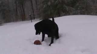 China loves to catch snowballs.