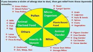 If you become a victim of allergy due to dust, then get relief from these Ayurveda remedies