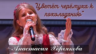 "Цветёт черёмуха к похолоданию" - Анастасия Хорьякова