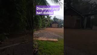 Suasana pagi didesa