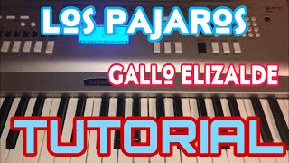 Los Pajaros - Lalo El Gallo Elizalde (Melodia Tutorial en Teclado)