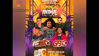 SET AO VIVO 16 TONELADAS O TIGRE DOMINGÃO ANIMAL TOCA DO TIGRE  🐅  JOELSON SILVA AS DANÇANTES💃🏻🤩🤩🎯🐅💥