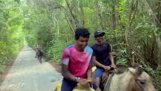 Horse Riding with Family In Mexico