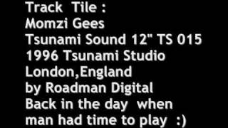 Momzi Gees   Tsunami Sound 1996