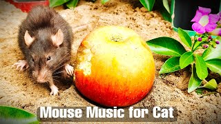 Cats Love Mouse Music | Relaxing Soft Mouse Music for Cats | Paul Bardor