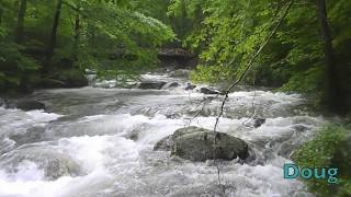 Big Piney RIver, VA - 6"