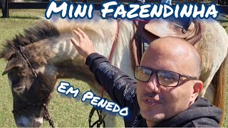 CONHEÇA A MINI FAZENDINHA DO FROM em Penedo / Itatiaia - RJ