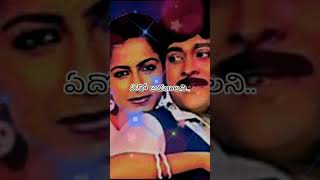 malli malli idhi rani roju song lyrics || #chiranjivi || #shorts #whatsappstatus #Sivaatmika Reddy