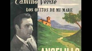 Camino verde - Angelillo