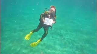 Sharon Completes Her 300th Dive 9/19/24