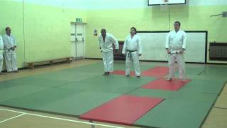 Kyushindo Striking kata & backfist kata - Banstead grading 15/11/11