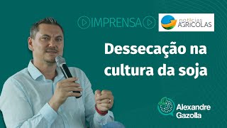 Alexandre Gazolla | Notícias Agrícolas | Dessecação na cultura da soja