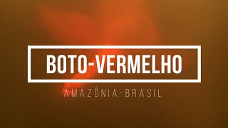 VIVACiência - Grant Apoio a Pesquisa!