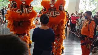 Chinese New Year celebrations|| Lion dance || lucky orange || #malaysiavlogs