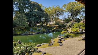 Sakura in Kyoto March 29, 2023