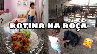 UM POUCO DA NOSSA ROTINA NA ROÇA VIDA SIMPLES