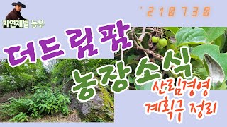 더드림팜 산림경영 계획구 눈개승마와 산마늘 식재 예정지 관리소식을 전합니다