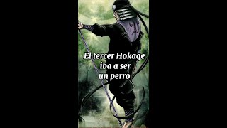 NARUTO | Este personaje iba a ser un perro #naruto #narutoshippuden #anime #drluigi97