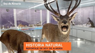 Pabellón de Historia Natural en Almería