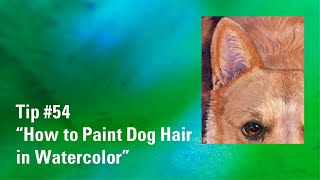 How to Paint Dog Hair in Watercolor | Animal Hair in Watercolor | Watercolour Painting Tip 54