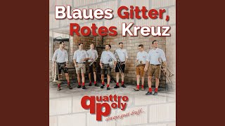 Blaues Gitter, Rotes Kreuz