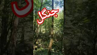 قطعه ای از بهشت 🥰🥰🥰🥰 #سابسکرایب_یادتون_نره