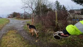 German shepherd on walk. Eros på tur. 08.11.2024. still you tubes most boring video part 2