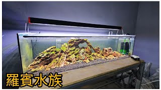 你喜歡到野外 採集魚蝦水草來造景嗎？