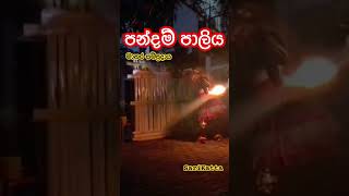 PANDAM PALIYA|මාතර සම්ප්‍රදායේ පන්දම් පාලිය| TRADITIONAL DANCE #dance #funny #music #subscribe