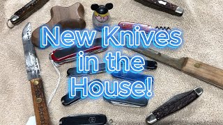 New knives in the House!