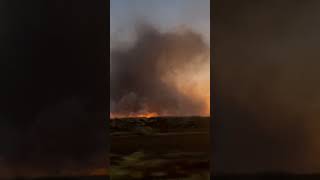 Evacuación masiva en #hawaii por incendio #noticias