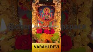 Varahi Navaratri || Gupta Navaratrulu || Varahi Devi Navaratrulu || Navaratrulu #varahinavaratrulu