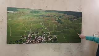 Domaine Alain Chavy, Puligny-montrachet- The French Wine Centre