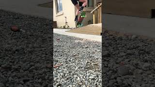 Switch Ollie