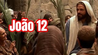 João 12 A entrada triunfal de Jesus em Jerusalém