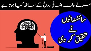 What does the brain think right before death || Interesting facts about human || Hidden secrets