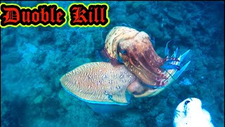 Spearfishing Cuttlefish | nembak sotong di Aceh