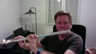 Improvisation N°65 « The night wind » for Solo Flute