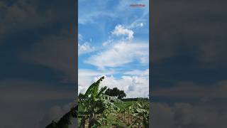 Beautiful Sky #shorts #shortvideos #sky