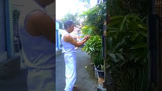 latihan mukul lurus karate Gokasi