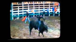 La Monta En Toros Trivision 36 San Rafael Guatuso 2022 Boogie Back En RPASTEN