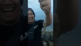 Ikan Jangki Strike Di Pantai Sindu