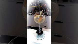 Cointreau Tonic #Cocktail Recipe in description