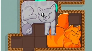 Puzzle CATS # Let's  Play