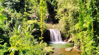 Trip Ride Motor Clasik ke Pemandangan Air Terjun🛵🌴🌿🍃🏞️