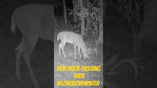 big buck passing thru hits scrape as he does so #lonebowhunter