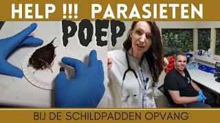 HELP !!  Parasieten in de ontlasting